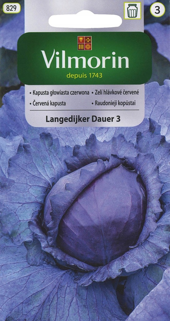 Zelí hlávkové Langedijker Dauer 3 - pozdní, červené, ke skladování (Vilmorin) Zelí hlávkové Langedijker Dauer 3 - pozdní, červené, ke skladování (Vilmorin)