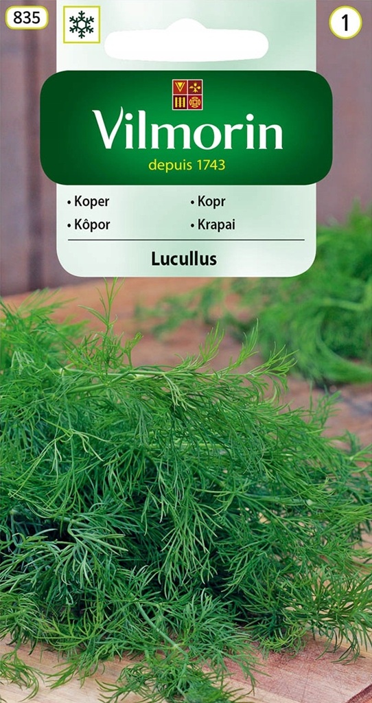 Kopr Lucullus - aromatický (Vilmorin) Kopr Lucullus - aromatický (Vilmorin)