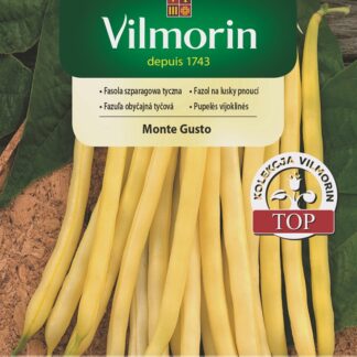 Fazol na lusky Monte Gusto - pnoucí, žlutý, tenké lusky (Vilmorin)