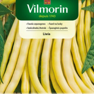 Fazol na lusky Liwia - trpasličí, světle žlutý (Vilmorin)