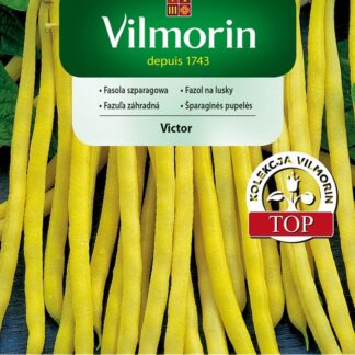 Fazol na lusky Victor - keříčkový, žlutý (Vilmorin)