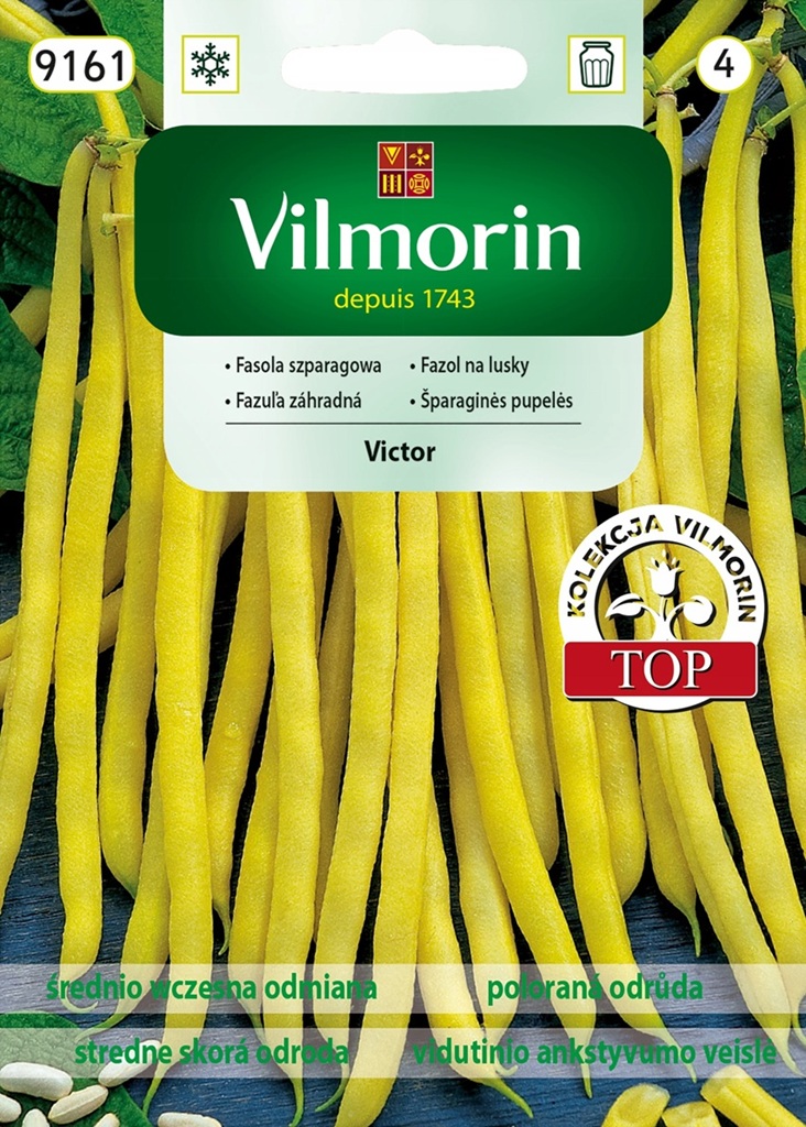 Fazol na lusky Victor - keříčkový, žlutý (Vilmorin) Fazol na lusky Victor - keříčkový, žlutý (Vilmorin)