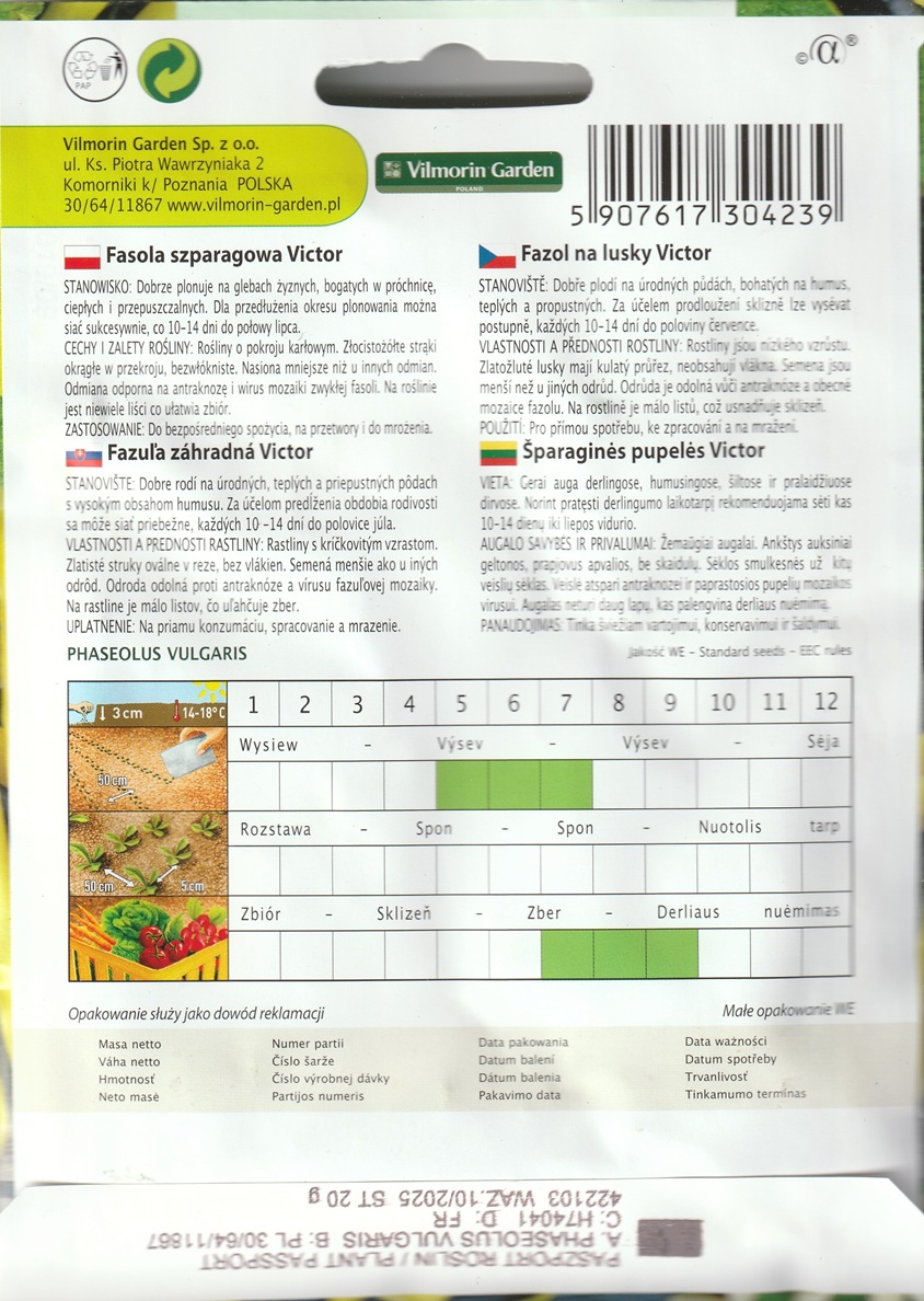 Fazol na lusky Victor - keříčkový, žlutý (pěstování) Fazol na lusky Victor - keříčkový, žlutý (pěstování)