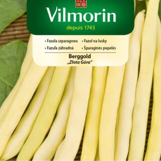 Fazol na lusky Berggold - keříčkový, žlutý (Vilmorin)