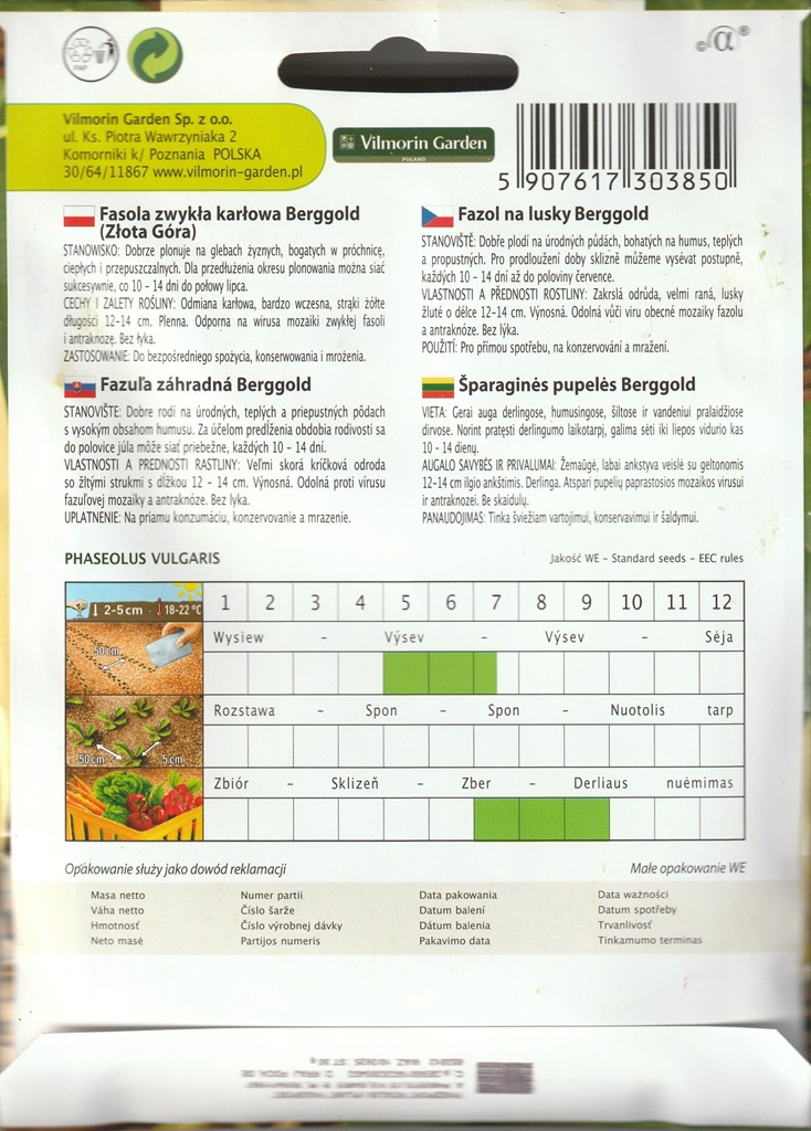 Fazol na lusky Berggold - keříčkový, žlutý (pěstování) Fazol na lusky Berggold - keříčkový, žlutý (pěstování)