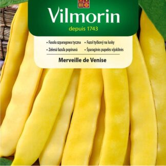 Fazol tyčkový na lusky Merveille de Venise - žlutý, široké lusky (Vilmorin)