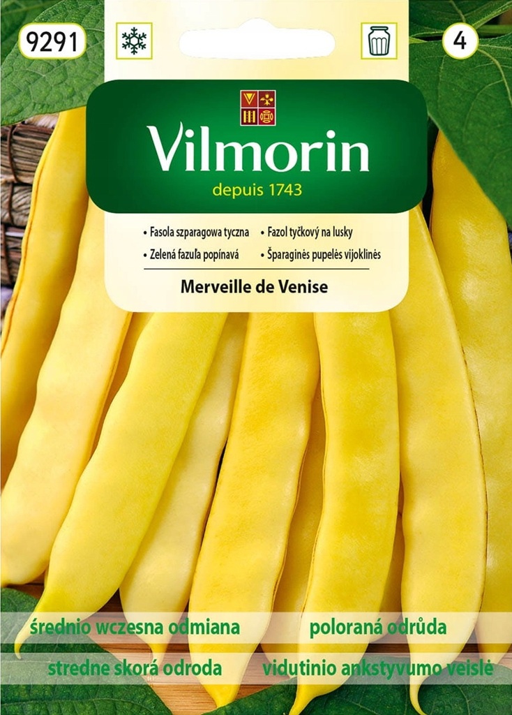 Fazol tyčkový na lusky Merveille de Venise - žlutý, široké lusky (Vilmorin) Fazol tyčkový na lusky Merveille de Venise - žlutý, široké lusky (Vilmorin)