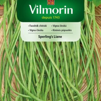 Vigna čínská Sperling's Liane - pnoucí, extra dlouhé lusky (Vilmorin)