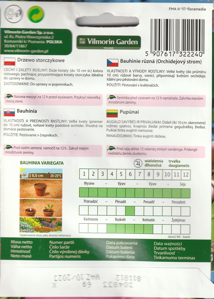 Bauhinie pestrá - růžovofialová, Orchidejový strom (pěstování) Bauhinie pestrá - růžovofialová, Orchidejový strom (pěstování)