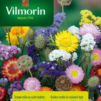 Kolekce rostlin do sušených kytic (Vilmorin)