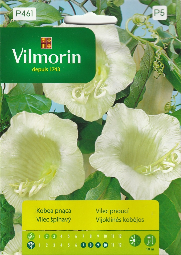 Vilec šplhavý - bílý, pnoucí (Vilmorin) Vilec šplhavý - bílý, pnoucí (Vilmorin)