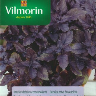 Bazalka pravá - červenolistá (Vilmorin)