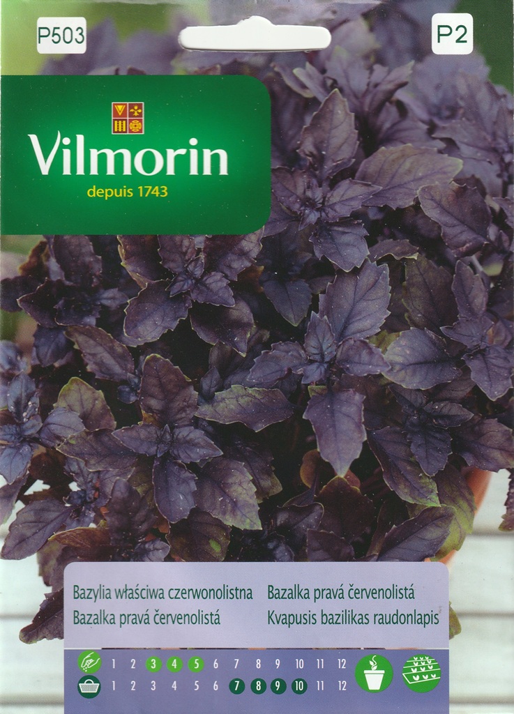 Bazalka pravá - červenolistá (Vilmorin) Bazalka pravá - červenolistá (Vilmorin)