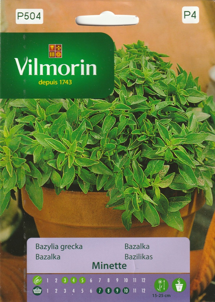 Bazalka Minette - nízká, drobnolistá, kompaktní (Vilmorin) Bazalka Minette - nízká, drobnolistá, kompaktní (Vilmorin)