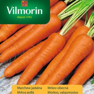 Mrkev obecná Senior F1 - poloraná, dlouhá, typ Flakkese (Vilmorin)