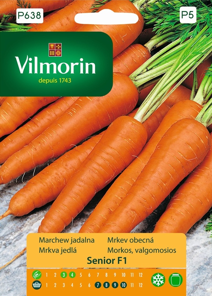 Mrkev obecná Senior F1 - poloraná, dlouhá, typ Flakkese (Vilmorin) Mrkev obecná Senior F1 - poloraná, dlouhá, typ Flakkese (Vilmorin)
