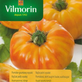 Rajče polní vysoké Pineapple F1 - ananasové, červeno-žluté, zploštělé (Vilmorin)