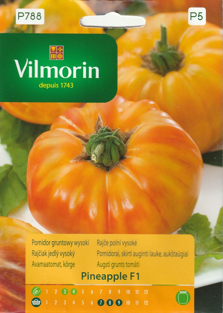Rajče polní vysoké Pineapple F1 - ananasové, červeno-žluté, zploštělé (Vilmorin) Rajče polní vysoké Pineapple F1 - ananasové, červeno-žluté, zploštělé (Vilmorin)