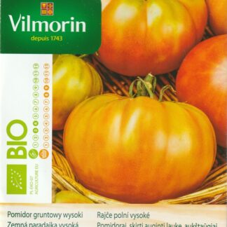 Rajče polní vysoké Pantano Romanesco - zeleno-červené, italské, kuchyňské, BIO (Vilmorin)