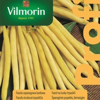 Fazol na lusky Sundance - trpasličí, žlutý (Vilmorin)