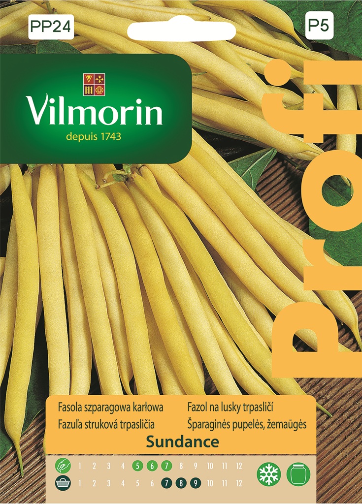 Fazol na lusky Sundance - trpasličí, žlutý (Vilmorin) Fazol na lusky Sundance - trpasličí, žlutý (Vilmorin)