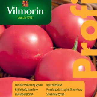 Rajče tyčkové Belladona F1 - skleníkové, kulovité (Vilmorin)