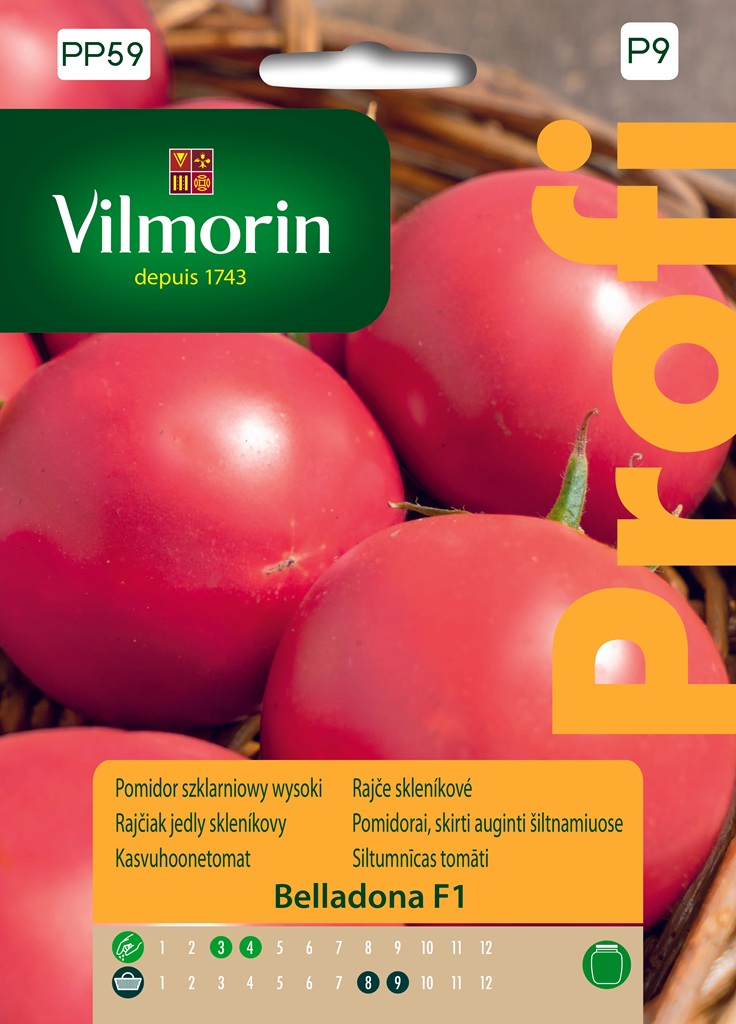 Rajče tyčkové Belladona F1 - skleníkové, kulovité (Vilmorin) Rajče tyčkové Belladona F1 - skleníkové, kulovité (Vilmorin)