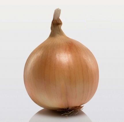 Cibule sazečka Corona F1 - žlutohnědá, kulovitá, amerického typu (Bejo) Cibule sazečka Corona F1 - žlutohnědá, kulovitá, amerického typu (Bejo)