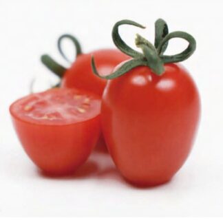 Rajče tyčkové HTO 2268 - cherry, oválné, odolné plísni (Uniseeds)