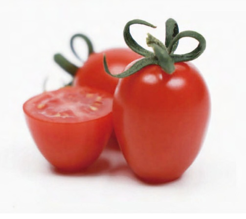 Rajče tyčkové HTO 2268 - cherry, oválné, odolné plísni (Uniseeds) Rajče tyčkové HTO 2268 - cherry, oválné, odolné plísni (Uniseeds)