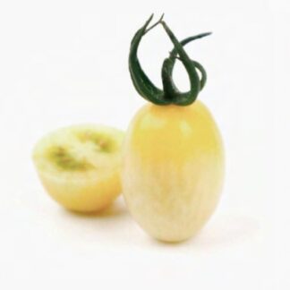 Rajče tyčkové Moonshine F1 - cherry, žlutobílé, oválné, sladké, odolné plísni (Uniseeds)