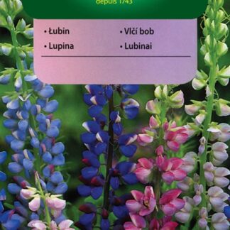 Vlčí bob Hartwegův - směs (Vilmorin)