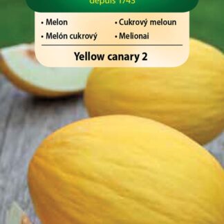 Cukrový meloun Yellow Canary 2 - oválný, žlutý (Vilmorin)