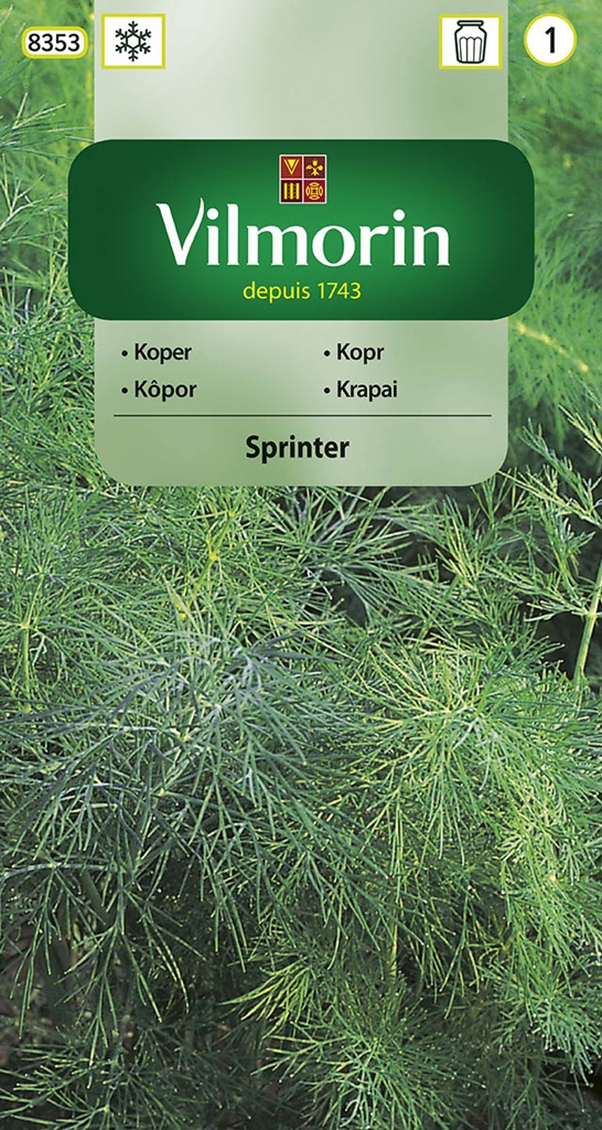 Kopr Sprinter - odolný k vykvétání, aromatický (Vilmorin) Kopr Sprinter - odolný k vykvétání, aromatický (Vilmorin)