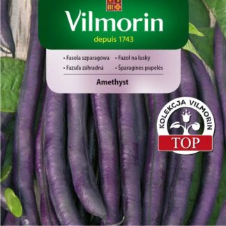 Fazol na lusky Amethyst - keříčkový, fialový (Vilmorin)