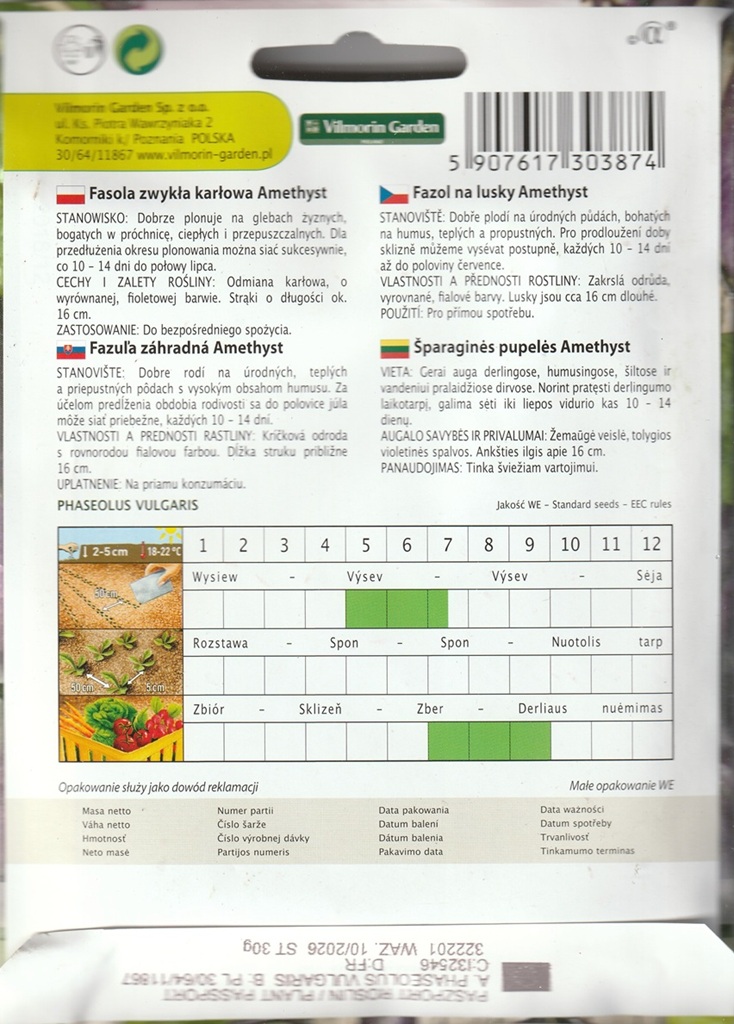 Fazol na lusky Amethyst - keříčkový, fialový (pěstování) Fazol na lusky Amethyst - keříčkový, fialový (pěstování)
