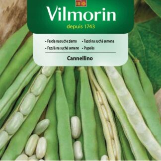 Fazol na suchá semena Cannellino - raný, keříčkový (Vilmorin)