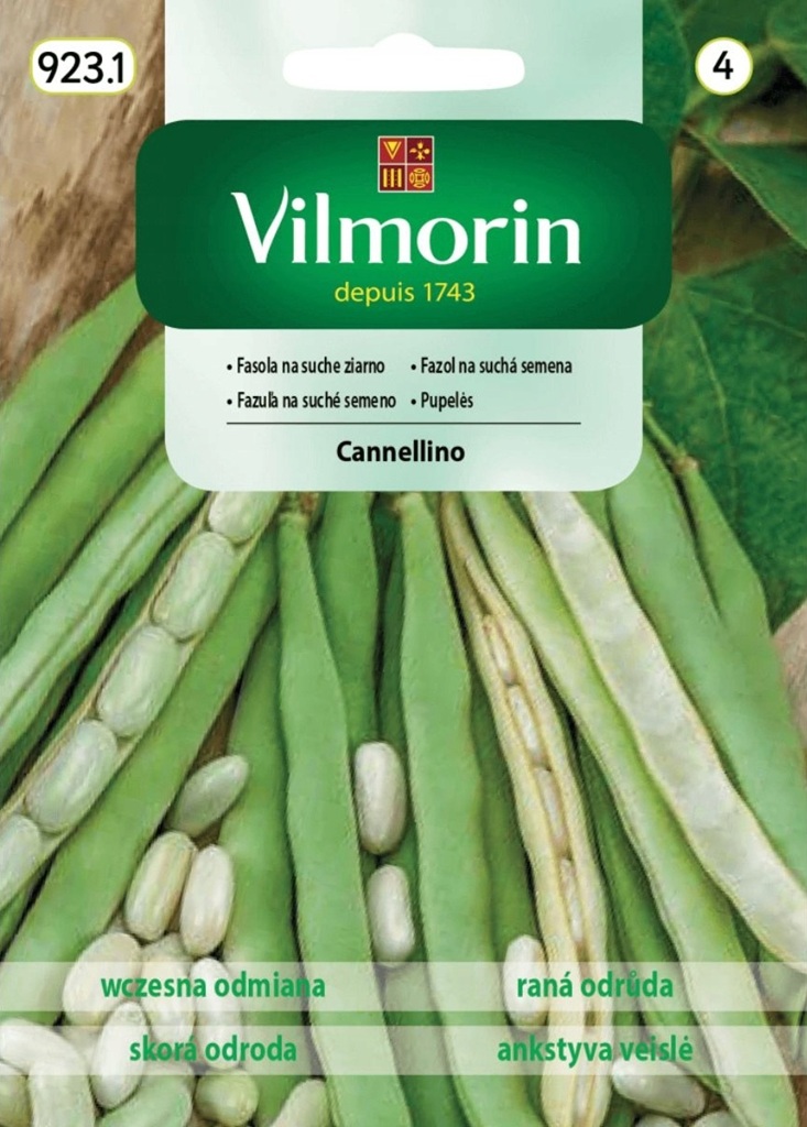 Fazol na suchá semena Cannellino - raný, keříčkový (Vilmorin) Fazol na suchá semena Cannellino - raný, keříčkový (Vilmorin)