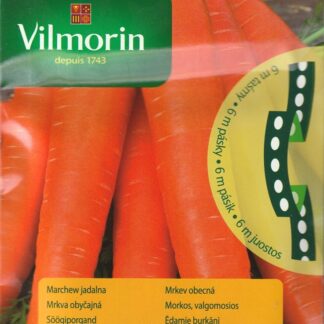 Mrkev Maestro F1 - typ Nantes, na výsevném pásku (Vilmorin)