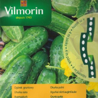 Okurka polní Royal F1 - nakládačka, hruboostná, na výsevném pásku (Vilmorin)