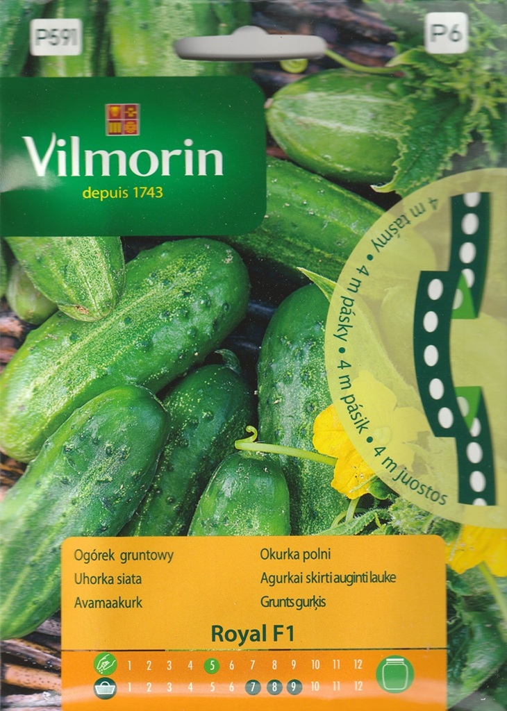 Okurka polní Royal F1 - nakládačka, hruboostná, na výsevném pásku (Vilmorin) Okurka polní Royal F1 - nakládačka, hruboostná, na výsevném pásku (Vilmorin)