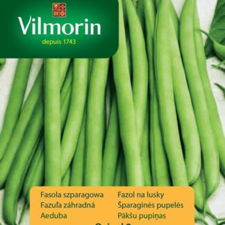 Fazol na lusky Oxinel 2 - keříčkový, zelený (Vilmorin)