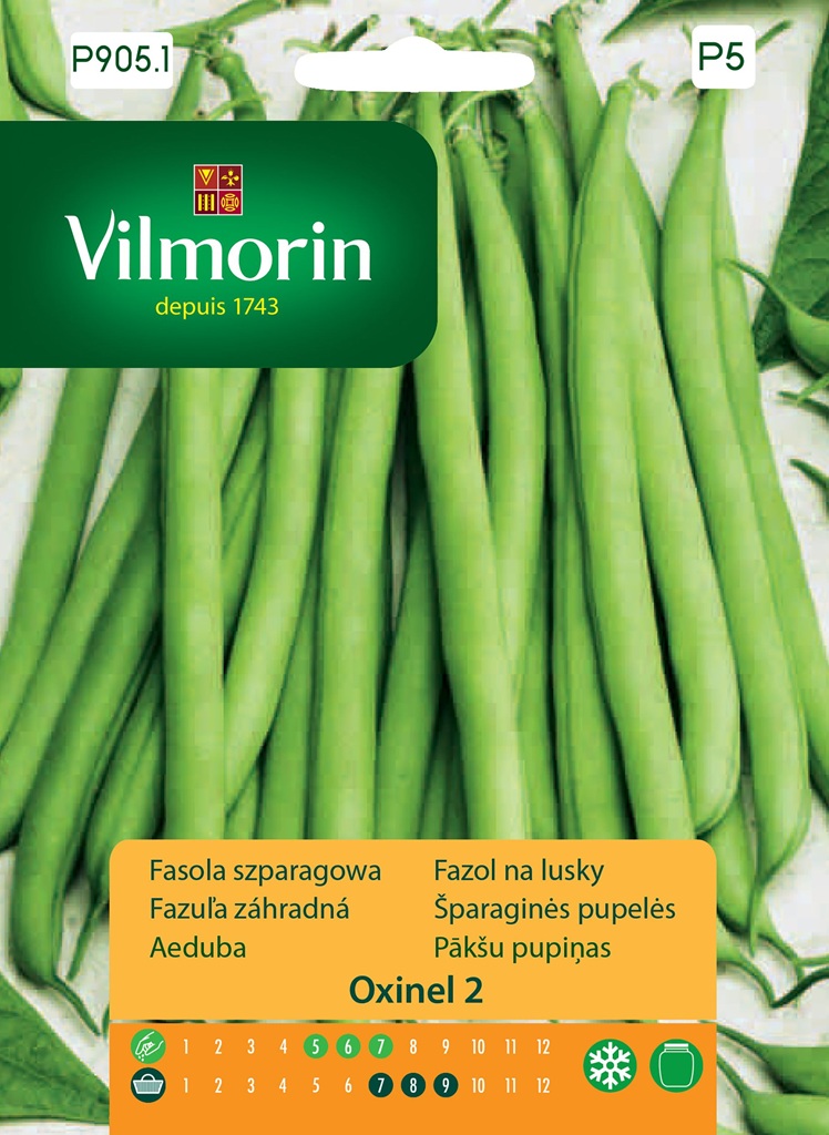 Fazol na lusky Oxinel 2 - keříčkový, zelený (Vilmorin) Fazol na lusky Oxinel 2 - keříčkový, zelený (Vilmorin)