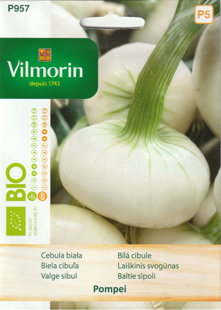 Cibule Pompei - bílá, zploštělá, lahůdková, k nakládání, BIO (Vilmorin) Cibule Pompei - bílá, zploštělá, lahůdková, k nakládání, BIO (Vilmorin)