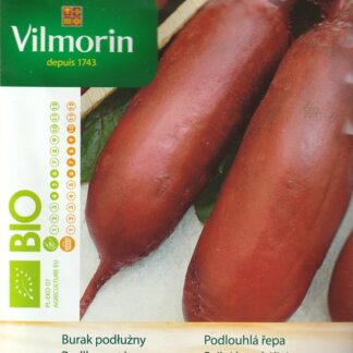 Červená řepa Cylindra - podlouhlá, tmavě červená, BIO (Vilmorin)