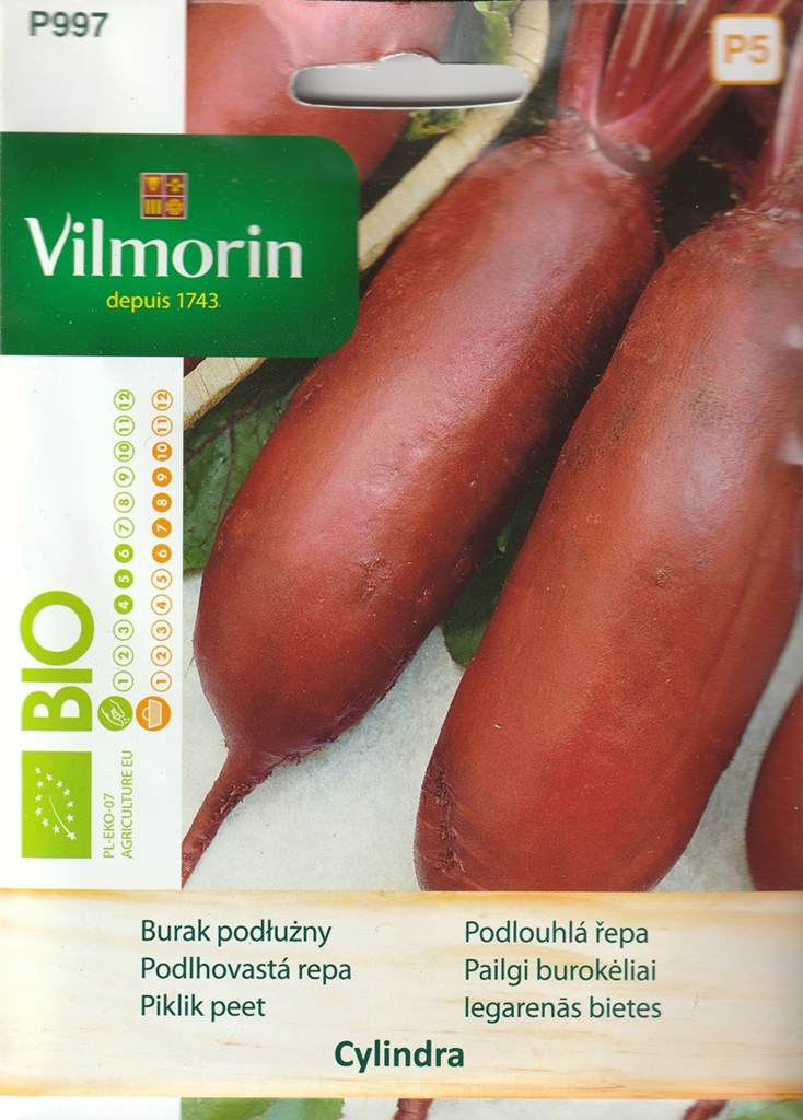 Červená řepa Cylindra - podlouhlá, tmavě červená, BIO (Vilmorin) Červená řepa Cylindra - podlouhlá, tmavě červená, BIO (Vilmorin)