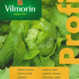 Ledový salát Glassica F1 - polní, letní, odolný k vykvétání (Vilmorin)