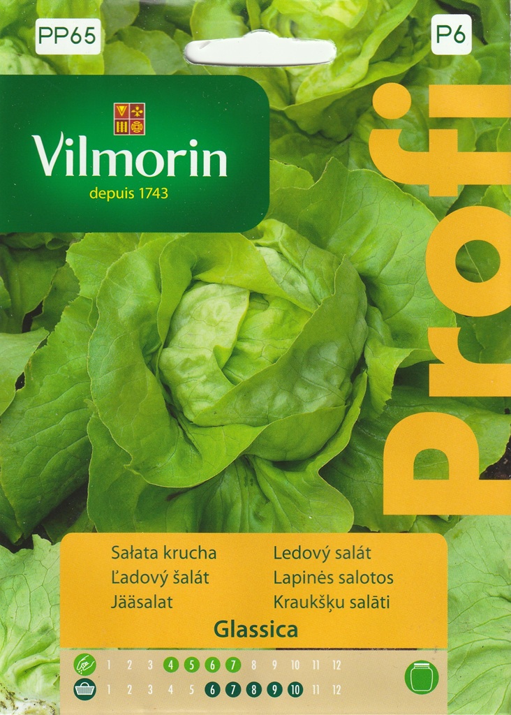 Ledový salát Glassica F1 - polní, letní, odolný k vykvétání (Vilmorin) Ledový salát Glassica F1 - polní, letní, odolný k vykvétání (Vilmorin)