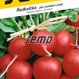 Ředkvička Primara F1 - velmi raná, červená, pro rychlení i pole (Semo)