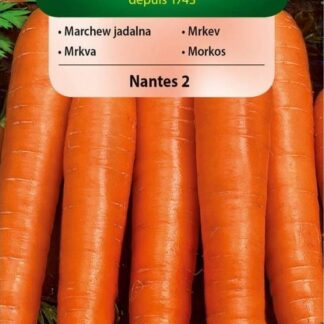 Mrkev Nantes 2 - karotka, sladká (Vilmorin)